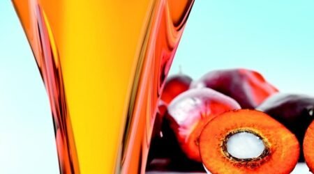 CRUDE PALM OIL (CPO)