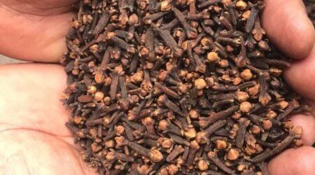 Cloves