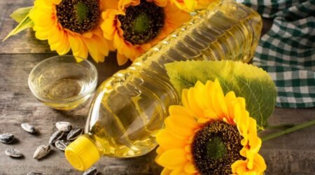 Crude sunflower oil