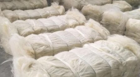 Grade 3L Sisal Fibre