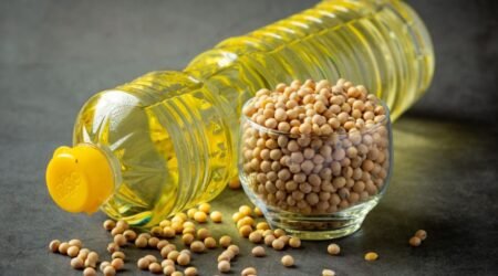 Crude Soybean Oil