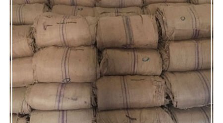 Jute gunny bags