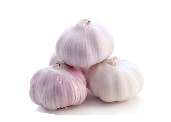 Normal white garlic