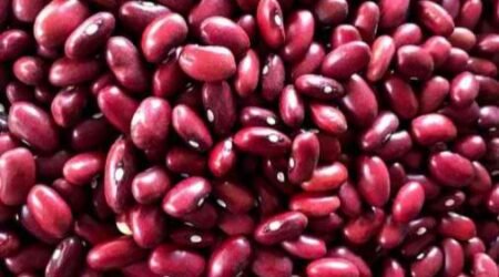RED KIDENY BEANS