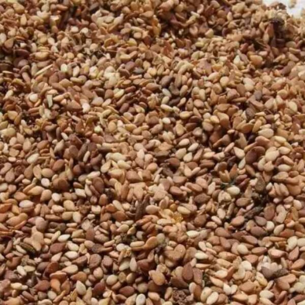 RED SESAME SEEDS