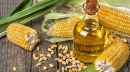 Refined Corn Cooking Oil
