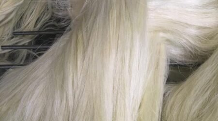 Sisal Fiber Grade 3L(3 Long)