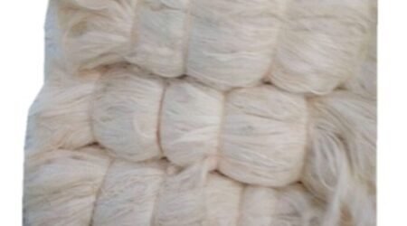 Sisal Fiber Grade No. 3 Short