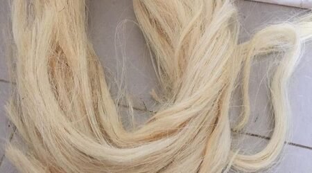 Sisal Fiber Short Fiber Tow 1