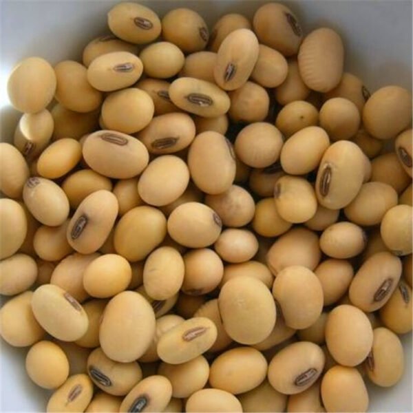 Soya Beans / Soybeans